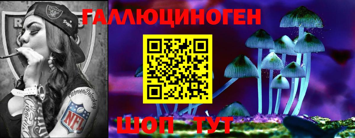 Галлюциногенные грибы прущие грибы  Вход с VPN  купить наркотики сайты  Ржев 